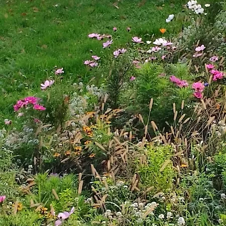 Am Geysirzentrum Apartman Andernach