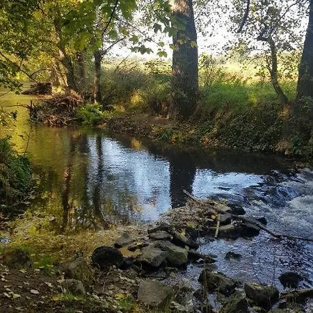 Am Geysirzentrum Apartment Andernach