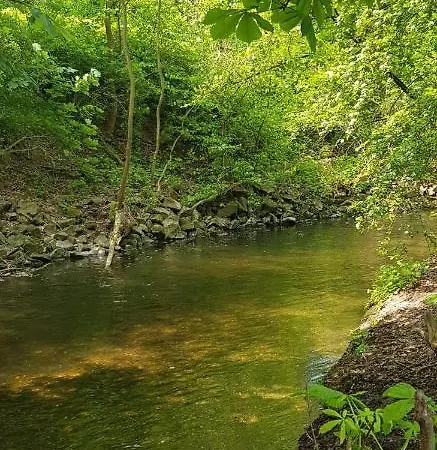 Apartment Am Geysirzentrum Andernach