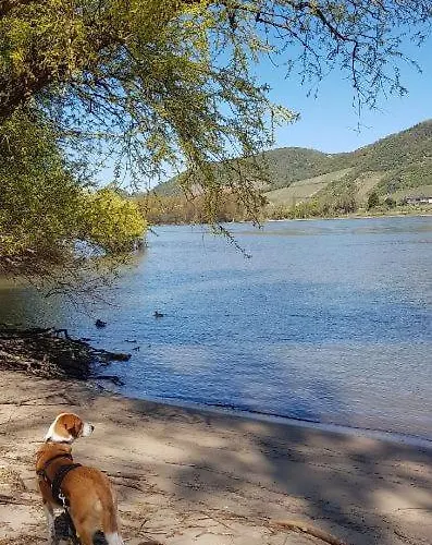 Am Geysirzentrum Lejlighed *