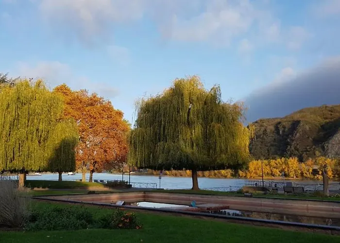 Apartment Am Geysirzentrum Andernach