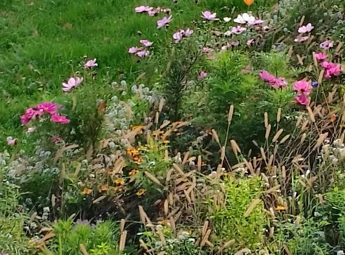 Am Geysirzentrum Lejlighed Andernach