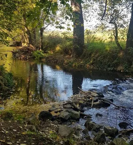 Am Geysirzentrum Lejlighed Andernach