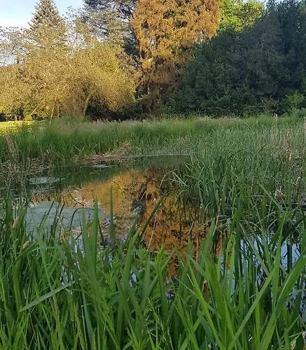 Am Geysirzentrum Andernach