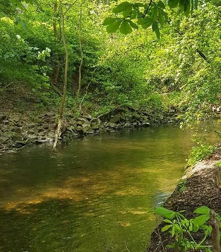Apartment Am Geysirzentrum Andernach